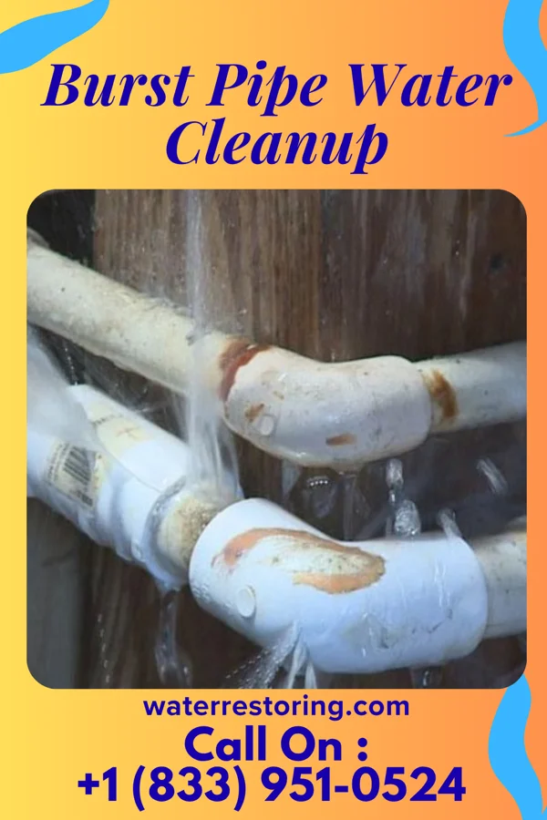 Burst Pipe Water Cleanup in Tavistock, NJ