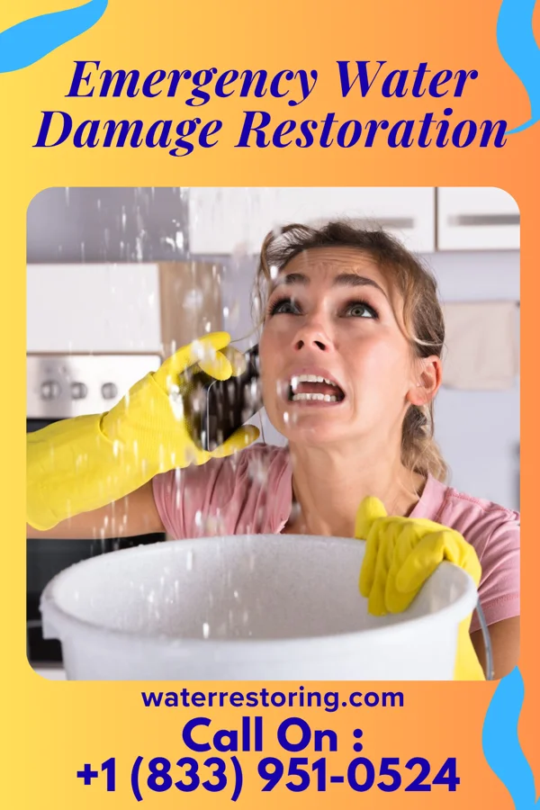 Emergency Water Damage Restoration in Tavistock, NJ