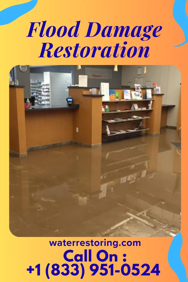 Flood Damage Restoration in Tavistock, NJ
