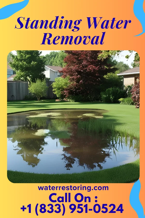 Standing Water Removal in Tavistock, NJ